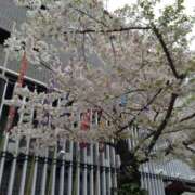 ヒメ日記 2026/04/04 14:31 投稿 しょうこ 熟女22時