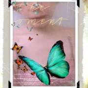 ヒメ日記 2026/04/16 11:56 投稿 しょうこ 熟女22時