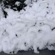 ヒメ日記 2026/02/08 18:50 投稿 くれあ ふぞろいの人妻たち