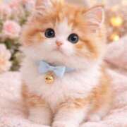 ヒメ日記 2026/02/25 09:28 投稿 吉川ゆりの★ elumo(エルモ)