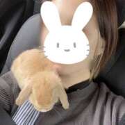 ヒメ日記 2026/02/12 20:35 投稿 らん ラブレター