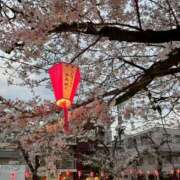 ヒメ日記 2026/03/30 13:13 投稿 らん ラブレター