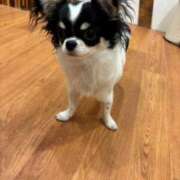 ヒメ日記 2026/02/21 16:06 投稿 みるく E+アイドルスクール