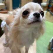 ヒメ日記 2026/03/14 23:28 投稿 みるく E+アイドルスクール