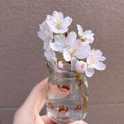 ヒメ日記 2026/03/29 19:21 投稿 みるく E+アイドルスクール