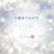 桜音 うらら No.1🙏💓 CUORE(クオレ)