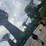 じゅり おはようございます！ IRIS(岐阜)