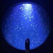 ヒメ日記 2026/06/11 22:00 投稿 じゅり IRIS(岐阜)