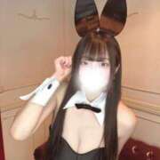 ヒメ日記 2026/04/23 19:30 投稿 らな JAPAN CLUB BUNNY LOUNGE