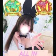 ヒメ日記 2026/06/03 17:20 投稿 らな JAPAN CLUB BUNNY LOUNGE