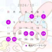ヒメ日記 2026/10/04 15:01 投稿 らな JAPAN CLUB BUNNY LOUNGE