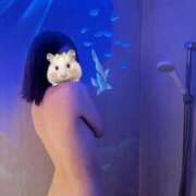 ヒメ日記 2026/02/20 22:19 投稿 すい E+アイドルスクール　大阪・日本橋店