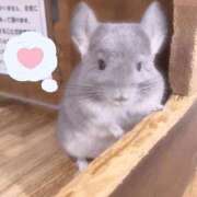 ヒメ日記 2026/01/10 07:31 投稿 雪乃さくら クラブブレンダ東京池袋店