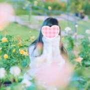 ヒメ日記 2026/01/15 07:18 投稿 雪乃さくら クラブブレンダ東京池袋店