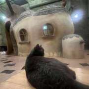 ヒメ日記 2026/02/04 07:31 投稿 雪乃さくら クラブブレンダ東京池袋店