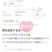 ヒメ日記 2026/02/11 07:09 投稿 雪乃さくら クラブブレンダ東京池袋店