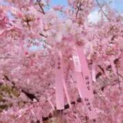 ヒメ日記 2026/02/24 22:08 投稿 雪乃さくら クラブブレンダ東京池袋店