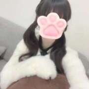 ヒメ日記 2026/02/27 08:08 投稿 雪乃さくら クラブブレンダ東京池袋店