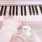 ヒメ日記 2026/03/09 08:38 投稿 雪乃さくら クラブブレンダ東京池袋店