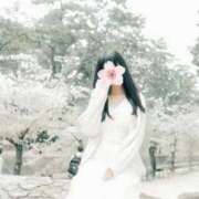 ヒメ日記 2026/04/10 07:38 投稿 雪乃さくら クラブブレンダ東京池袋店