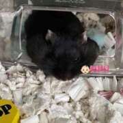 うに ろぐいんあうと！👶🏻 コンカフェ×オナクラ あいこねくと