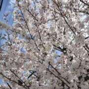 ももか 申し訳ないです ぷるるん小町 京橋店