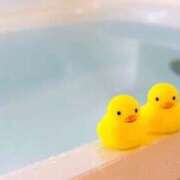 ヒメ日記 2026/04/14 08:34 投稿 佳凛 東京人妻フォーシーズンズ