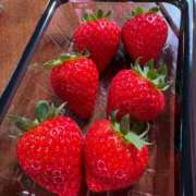 ヒメ日記 2026/03/13 10:21 投稿 くれは セレブクエスト-koshigaya-