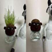 くれは 見守ってほしい子です😌 セレブクエスト-koshigaya-