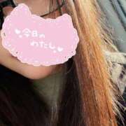 ヒメ日記 2026/01/30 14:13 投稿 神谷ゆい 松戸人妻花壇