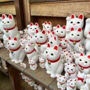 ヒメ日記 2026/08/13 07:54 投稿 奥菜めぐ 五十路マダムエクスプレス横浜店（カサブランカグループ）