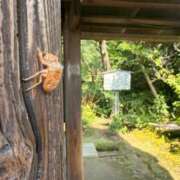 ヒメ日記 2026/08/25 09:56 投稿 奥菜めぐ 五十路マダムエクスプレス横浜店（カサブランカグループ）