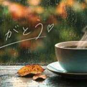 ヒメ日記 2026/10/08 00:02 投稿 奥菜めぐ 五十路マダムエクスプレス横浜店（カサブランカグループ）