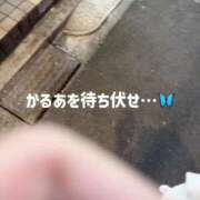 ヒメ日記 2026/10/13 03:38 投稿 まろん◇ドSな絶世の美少女◇ H-ash（アッシュ）