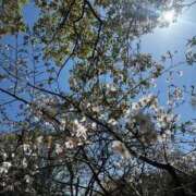 ヒメ日記 2026/04/07 10:22 投稿 るか（高身長素人美少女♪） おクンニ天国～Rising Group～