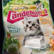 りる 朝からありがとう?? 西川口コスプレメイド学園（シンデレラグループ）