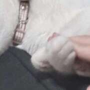 ヒメ日記 2026/03/24 21:31 投稿 りる 西川口コスプレメイド学園（シンデレラグループ）