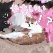 ヒメ日記 2026/04/05 08:06 投稿 りる 西川口コスプレメイド学園（シンデレラグループ）