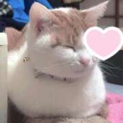 ヒメ日記 2026/04/06 22:05 投稿 りる 西川口コスプレメイド学園（シンデレラグループ）