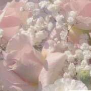 ヒメ日記 2026/01/24 15:29 投稿 ひより ミルクハート（ユメオト）