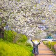 ヒメ日記 2026/03/08 09:50 投稿 白雪-しらゆき 熟女10000円デリヘル 川崎