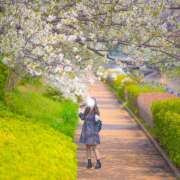 ヒメ日記 2026/03/08 18:41 投稿 白雪-しらゆき 熟女10000円デリヘル 川崎