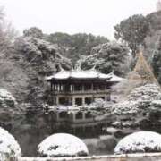 ヒメ日記 2026/02/09 18:04 投稿 ゆかり 池袋おかあさん