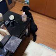 ヒメ日記 2026/01/16 06:56 投稿 ふみ 乱妻～みだれづま～