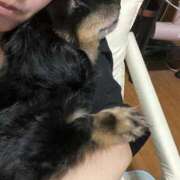 ヒメ日記 2026/01/17 06:00 投稿 ふみ 乱妻～みだれづま～