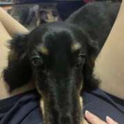 ヒメ日記 2026/01/20 12:00 投稿 ふみ 乱妻～みだれづま～