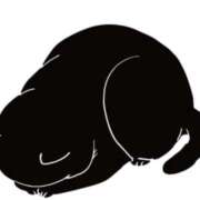 ヒメ日記 2026/01/12 15:51 投稿 ももか(人妻) THE・TRY