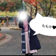 ヒメ日記 2026/02/25 19:44 投稿 ももか(人妻) THE・TRY