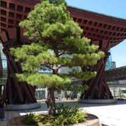 ヒメ日記 2026/01/05 09:46 投稿 りょう 松本人妻隊