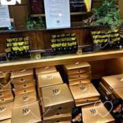 ヒメ日記 2026/03/03 00:52 投稿 椿 オペラ(吉原)